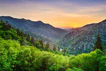 Tennessee Park Ranger Requirements